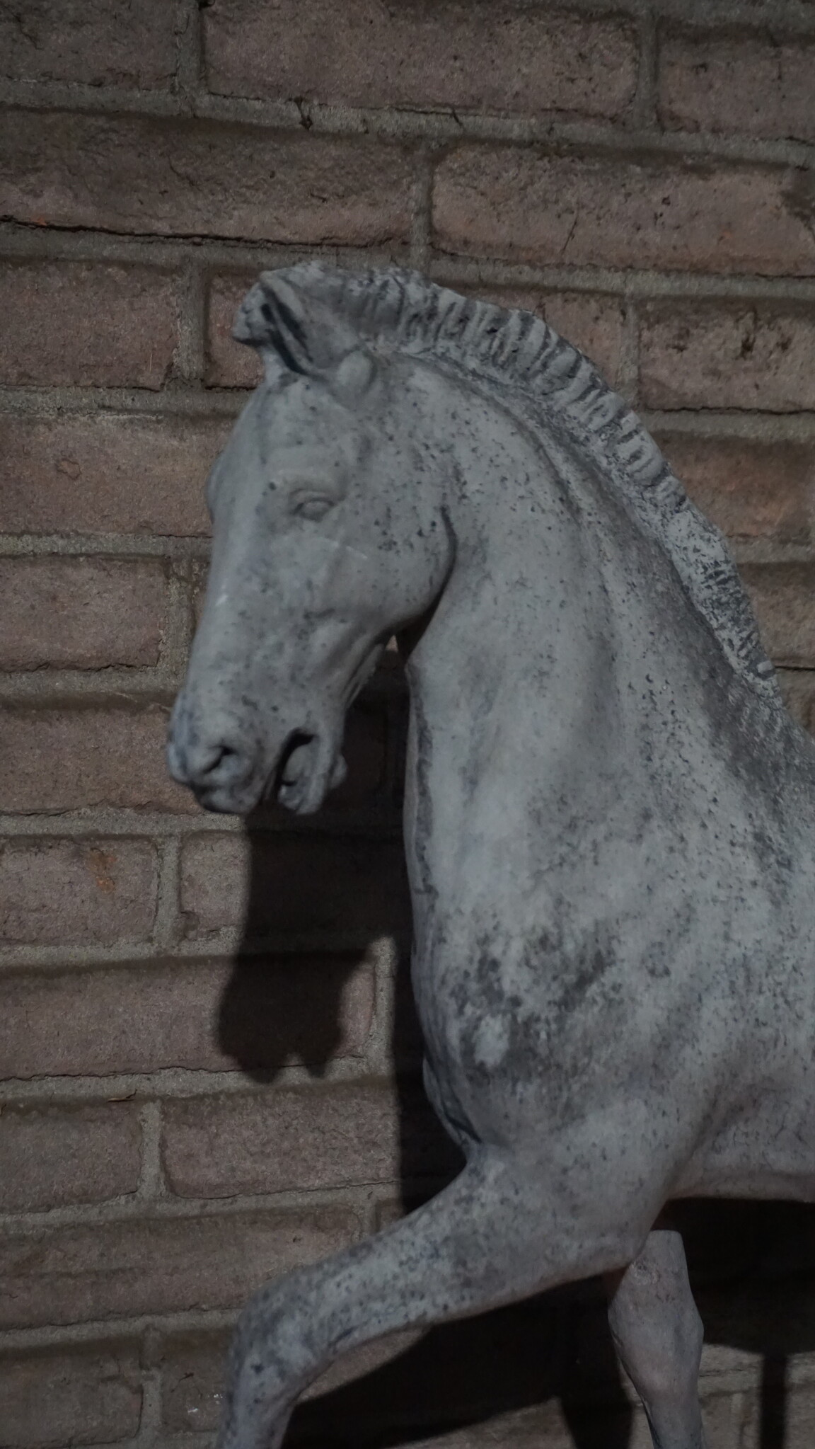 Rene Houtman Paard Beeld Op Voet | Beton | Tweede Kansje!