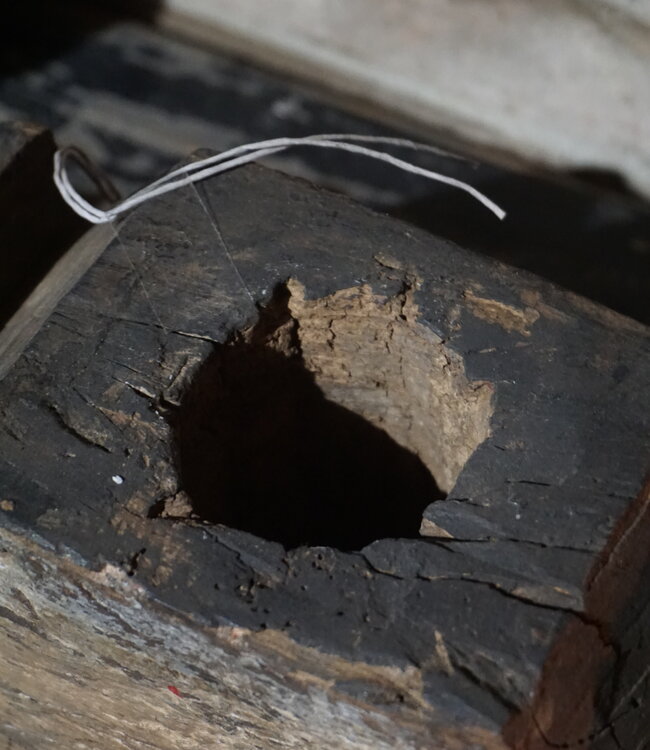 Rene Houtman Houten Ornament | L50 x H16 x D10 cm