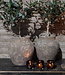 Rene Houtman Decoratieve Kunst Olijfboom | H70 x B35 cm