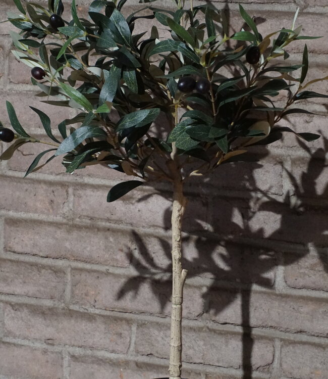 Rene Houtman Decoratieve Kunst Olijfboom | H70 x B35 cm