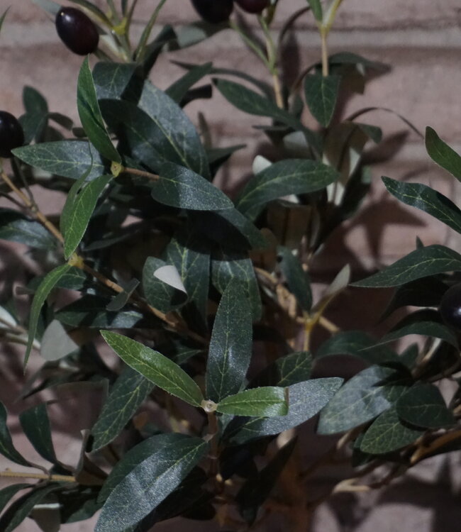 Rene Houtman Decoratieve Kunst Olijfboom | H70 x B35 cm