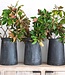 Rene Houtman Vaas Ginger | Terracotta Fume | Tweede Kansje!