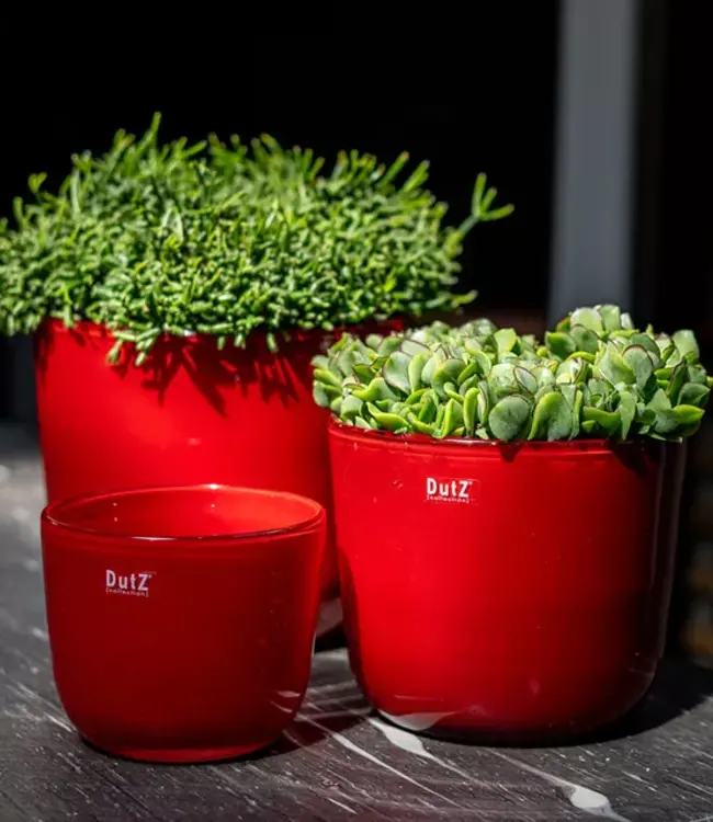 DutZ Pot Wide | Rood | 3 Maten!