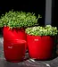 DutZ Pot Wide | Rood | 3 Maten!