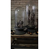 Vintage Glazen Stolp XXL | Houten Voet | H75 x D34 cm