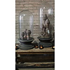Vintage Glazen Stolp XXL | Houten Voet | H65 x D23 cm