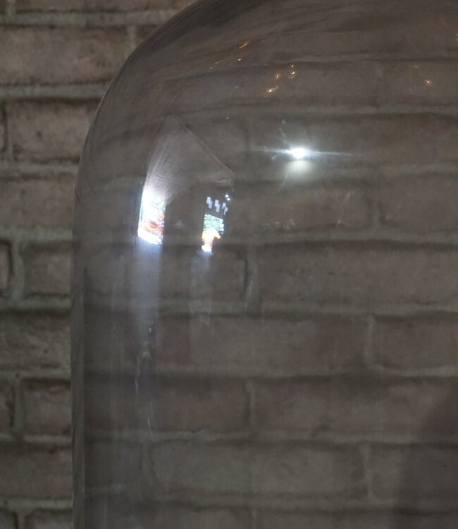 Aura Peeperkorn Vintage Glazen Stolp XXL | Houten Voet | H65 x D23 cm