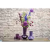 Vaas Loflo | Plum | 2 Maten!