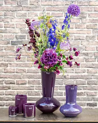 DutZ Vaas Loflo | Plum | 2 Maten!