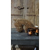 Authentieke houten Paard | H16 x B30 cm