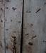 Rene Houtman Authentieke Deur | India | Oud Hout