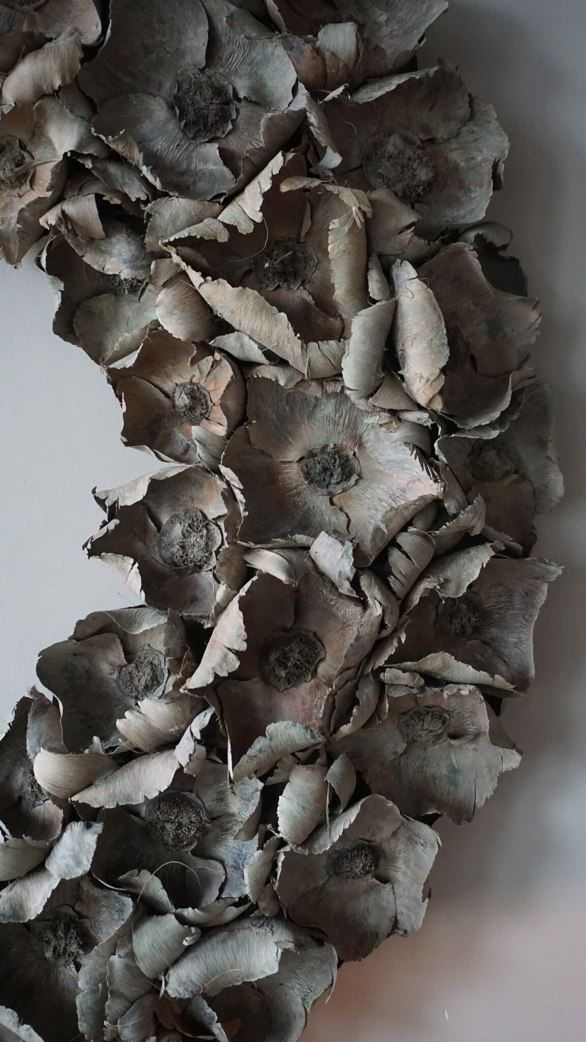 Rene Houtman Krans Palm Cup | Old Green Wash | 100 cm
