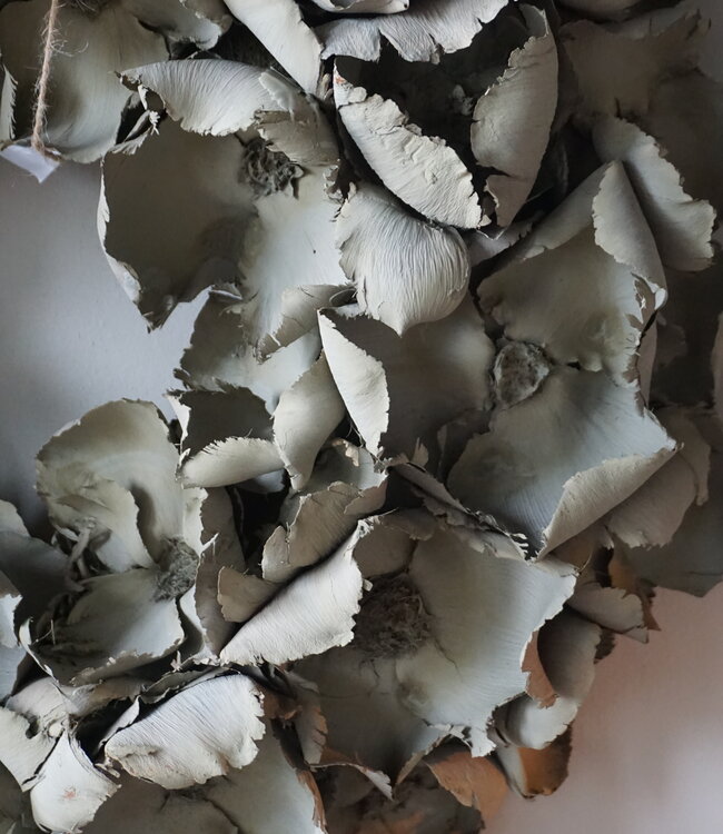 Rene Houtman Krans Palm Cup | Old Green Wash | 45 cm