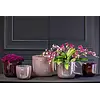 Pot Wide | Oud Paars | 3 Maten