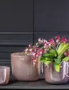 DutZ Pot Wide | Oud Paars | 3 Maten