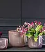 DutZ Pot Wide | Oud Paars | 3 Maten