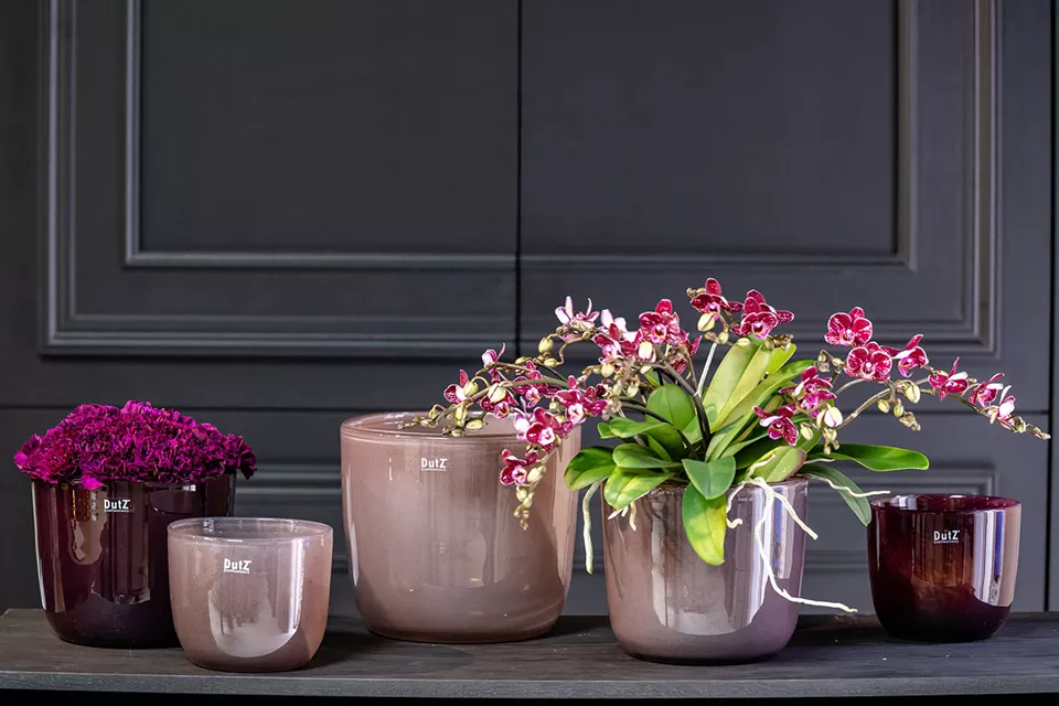 DutZ Pot Wide | Oud Paars | 3 Maten