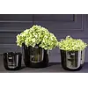 Pot Wide | Smoke | 2 Maten