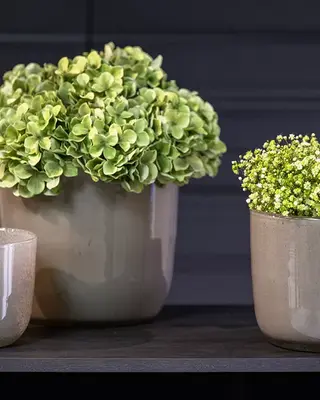 DutZ Pot Wide | Taupe | 2 Maten