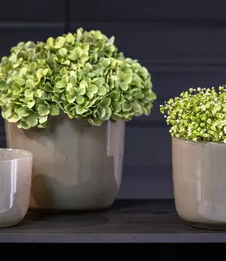 DutZ Pot Wide | Taupe | 3 Maten