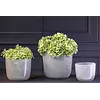 Pot Wide | Lichtgrijs | 2 Maten