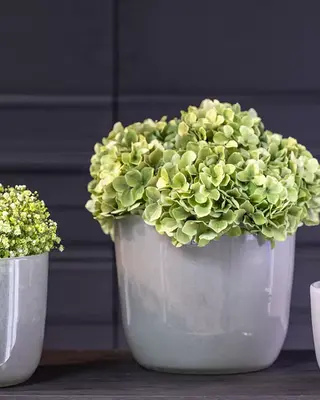 DutZ Pot Wide | Lichtgrijs | 2 Maten