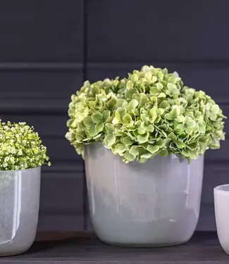 DutZ Pot Wide | Lichtgrijs | 3 Maten
