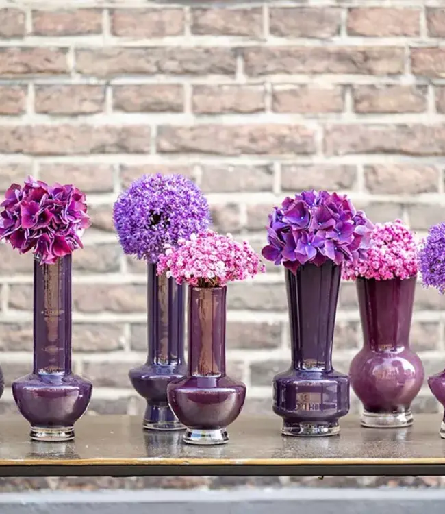 DutZ Set Vazen Vibe | Pruim | H25 x D10 cm