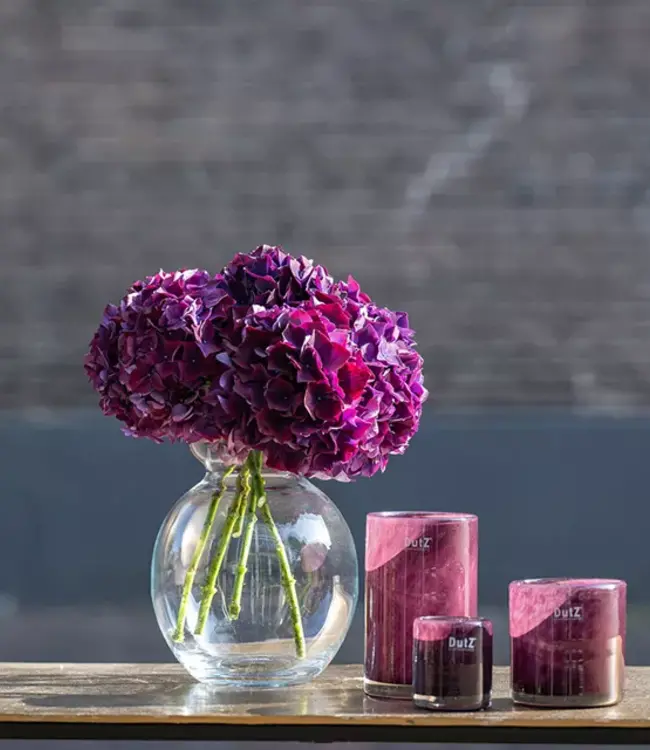 DutZ Kaarsenglas | Pruim | 3 Maten!