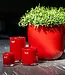 DutZ Kaarsenglas | Rood | H15 x D10 cm