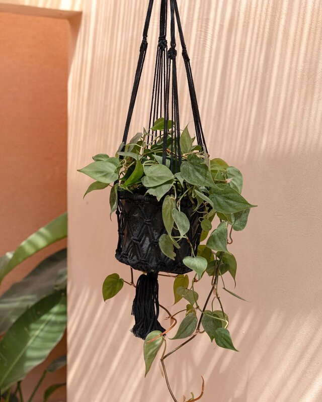 Bazar Bizar De Macramé Plantenhanger - Zwart - M_40