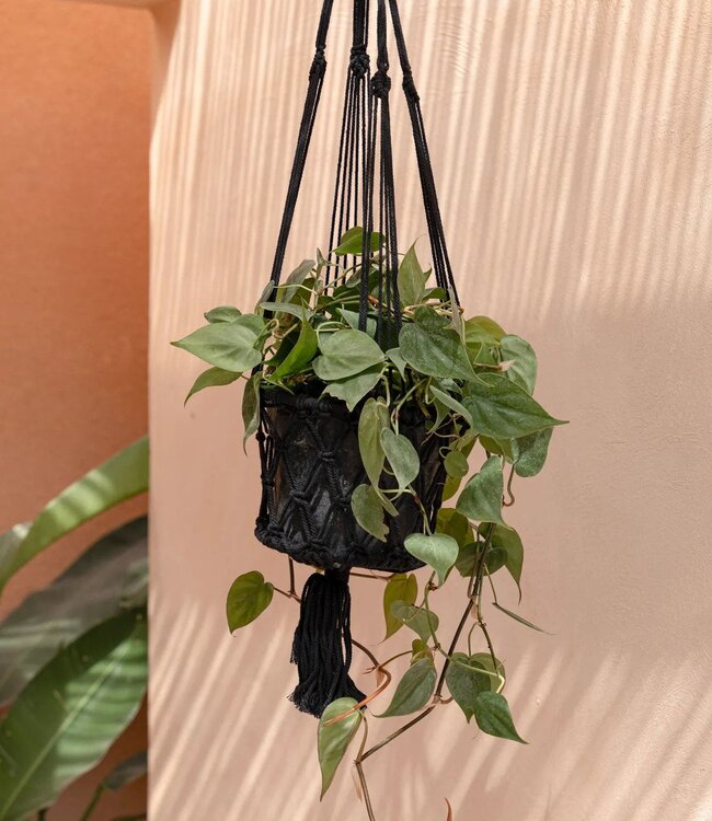 Bazar Bizar De Macramé Plantenhanger - Zwart - M_40