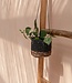 Bazar Bizar De Bananen Plantenhanger - Natuurlijk Zwart - S