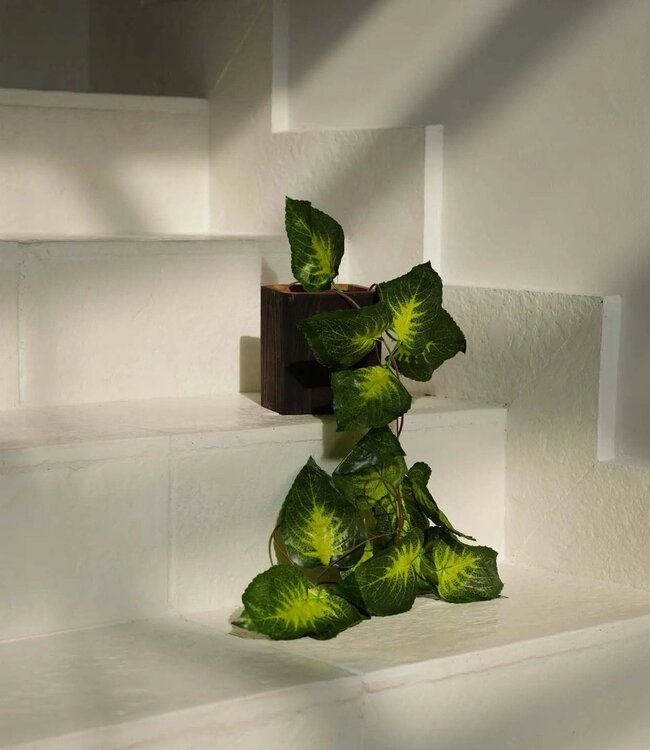 Bazar Bizar De Bondi Vaas - Vierkant