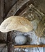 Raw Materials Amsterdam Maze Hanglamp Organic Naturel 57 x 31 x 60 cm