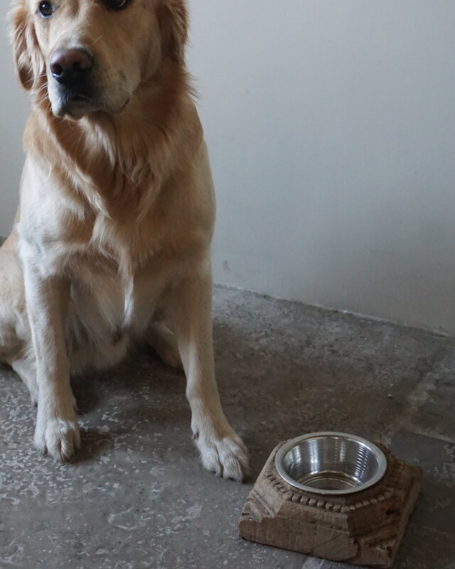 Rene Houtman Unieke Voerbak | Oud Indische Poer | Nr 2 | H9 x D21 cm