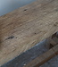 Rene Houtman Oud Eikenhouten Bankje | Nr 3 | H46 x B80 x D20 cm