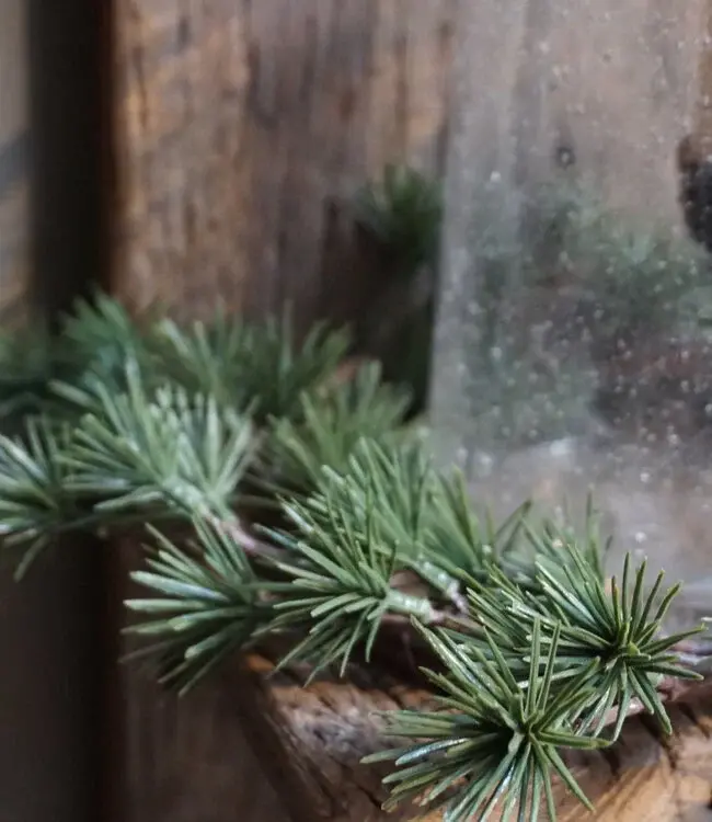 Rene Houtman Larix Kransje | Groen |  H4 x D25 cm