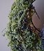 Rene Houtman Mos Kunst Guirlande Groen | L150 cm