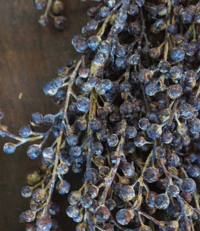 Rene Houtman Kunst Dadeltak Bruin | L60 x B20 cm