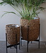 Rene Houtman Plantenmand Bloembak | Set Van 2