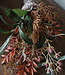 Rene Houtman Kunst Toef Met Shabby Doek | L30 cm