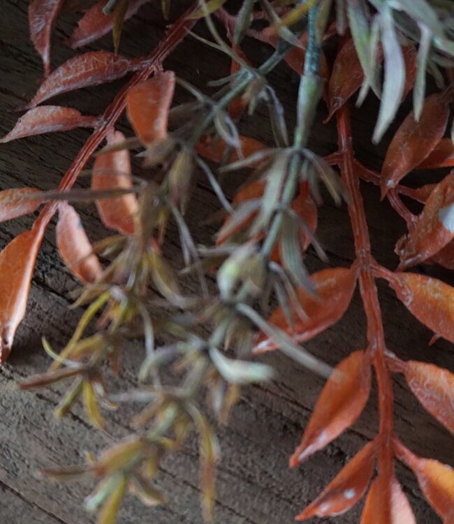 Rene Houtman Kunst Toef Met Shabby Doek | L30 cm