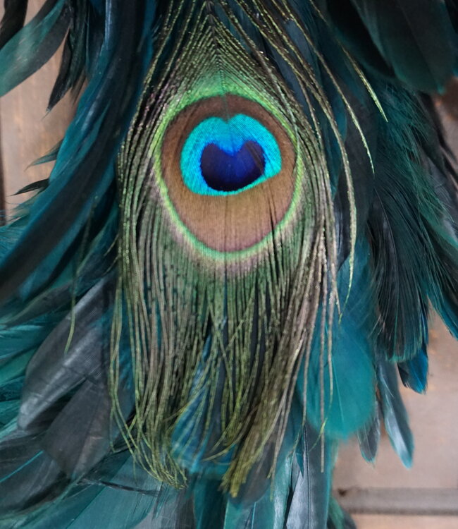 Rene Houtman Krans Pauwenveer Ogen | D35 cm