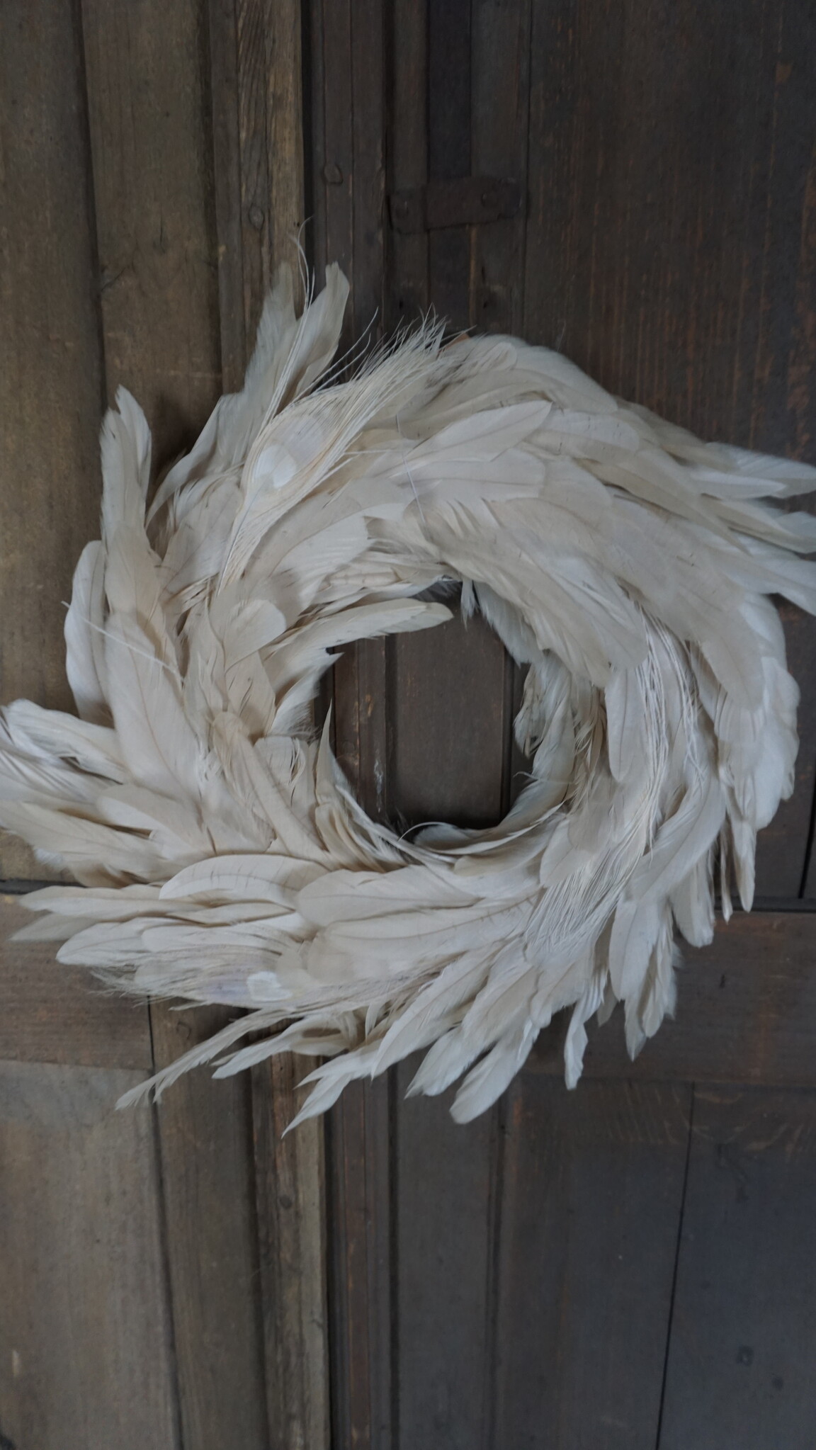 Rene Houtman Krans Pauwenveer Wit | H6 x D40 cm