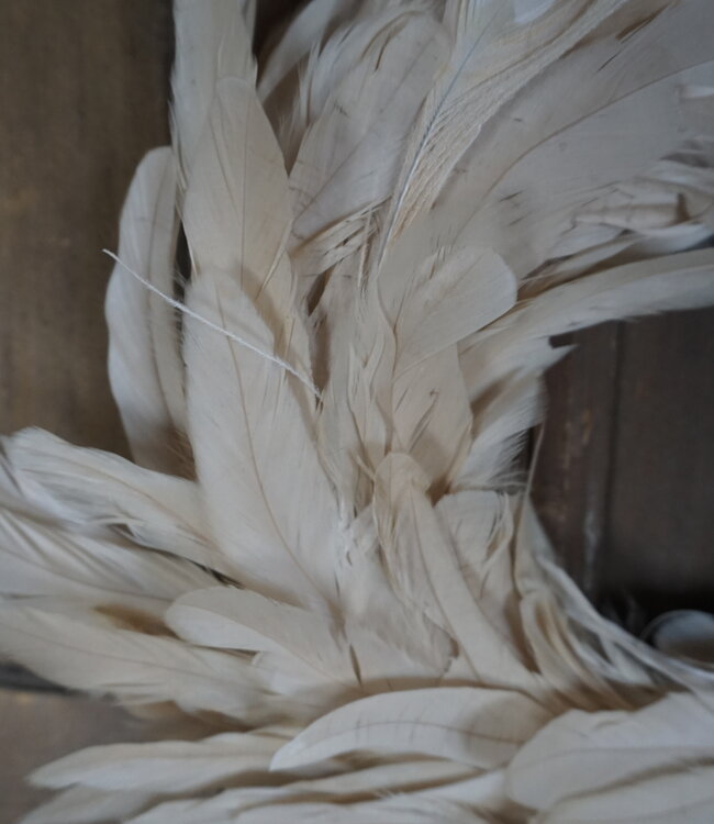 Rene Houtman Krans Pauwenveer Wit | H6 x D40 cm