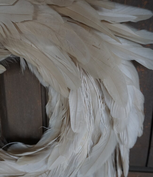 Rene Houtman Krans Pauwenveer Wit | H6 x D40 cm