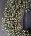 Rene Houtman Natuurlijke Krans | D35 cm