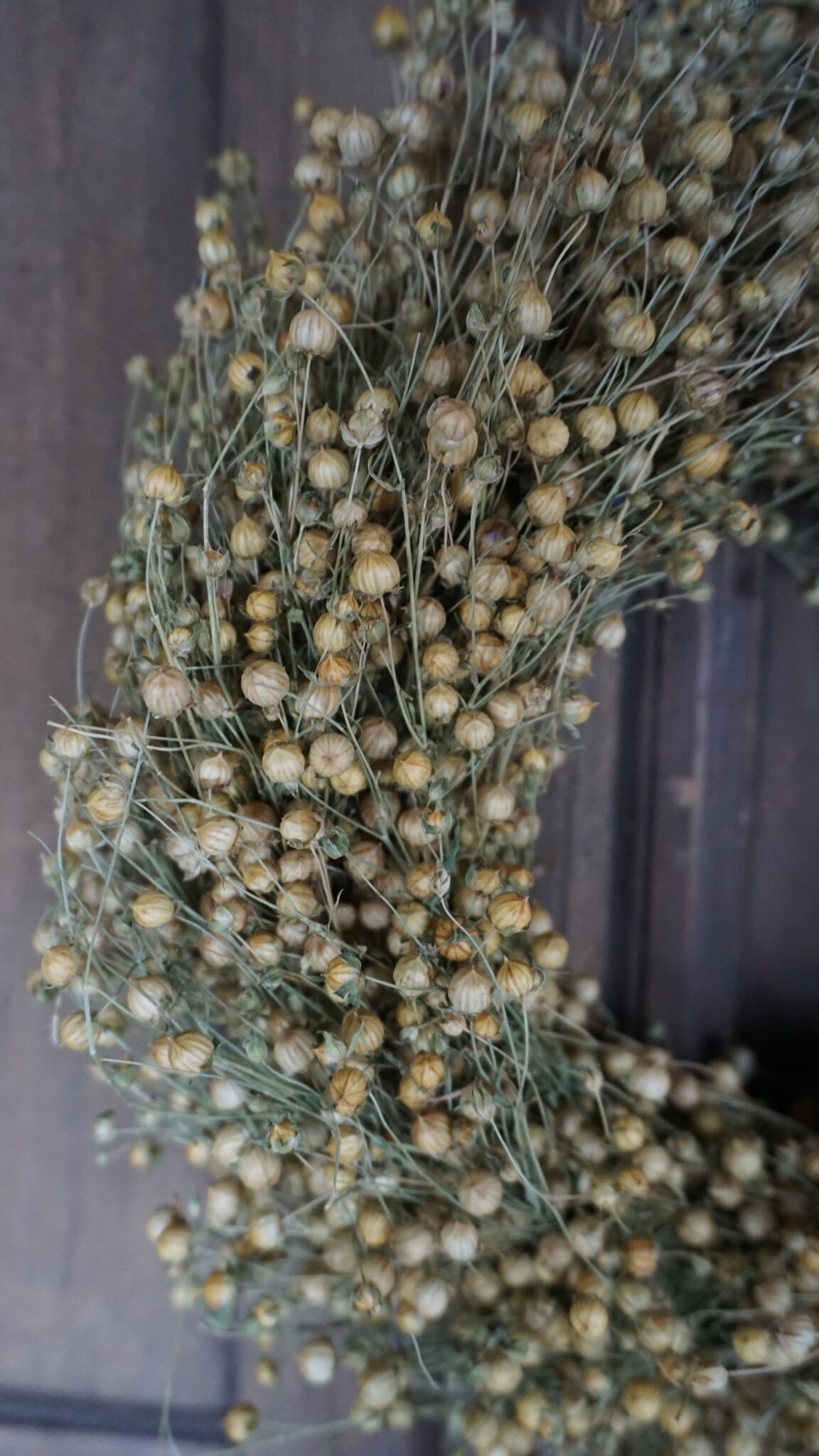 Rene Houtman Natuurlijke Krans | D30 cm
