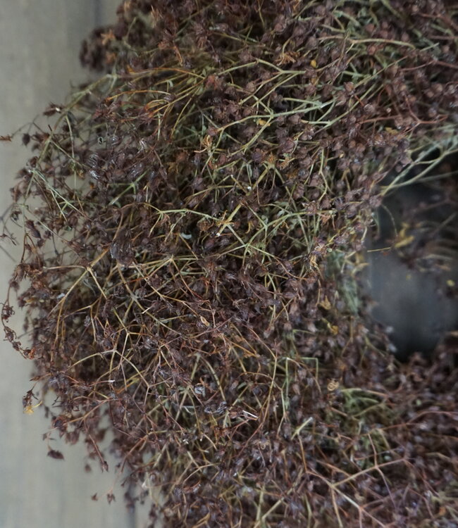 Rene Houtman Natuurlijke Krans Herfst | D30 cm